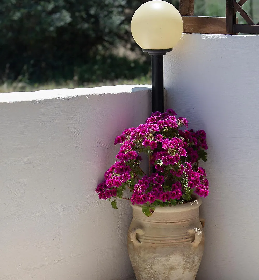 casa vacanze Alessandro Castellammare del Golfo Villa
